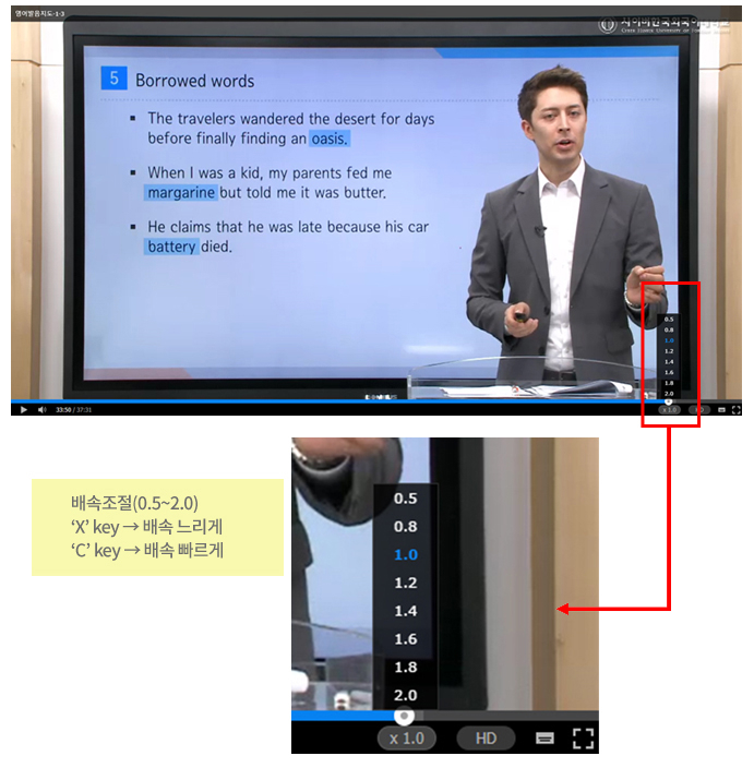 배속조절(0.5~2.0) 'X'key  →  배속느리게, 'C'key  → 배속 빠르게